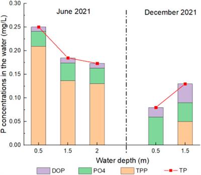 Periodic variations of phosphorus migration and transformation in a eutrophic lake of China: The role of algae bloom and collapse